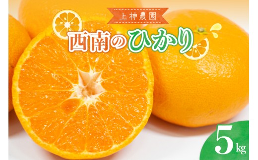 【先行受付】 【2026年12月上旬～発送】 上神農園の西南のひかり 約5kg ミカン デザート 酸味 甘み 果物 ku011-036-26