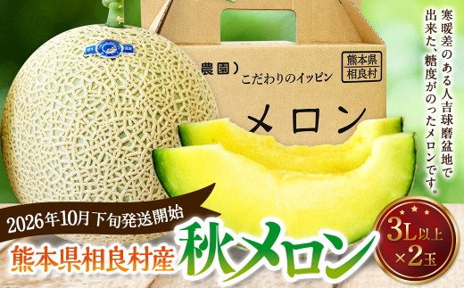 相良村産 秋メロン（アールス） 2玉（3L以上） 【2026年10月下旬～11月上旬発送予定】 アールスメロン メロン フルーツ