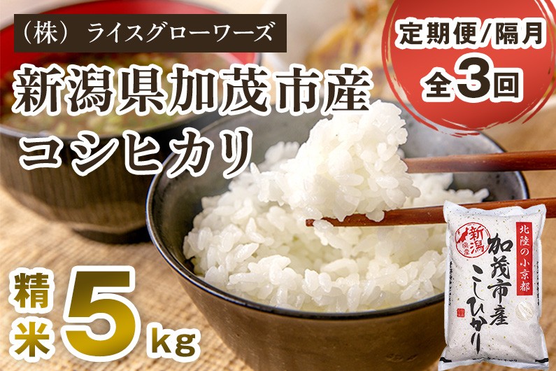 
                  【令和7年産】【定期便3回隔月お届け】新潟県加茂市産コシヒカリ 精米5kg《順次出荷》 新潟県産コシヒカリ 新潟産コシヒカリ 新潟コシヒカリ 新潟県産こしひかり 新潟産こしひかり 新潟こしひかり コシヒカリ こしひかり お米 白米 米 定期便 （株）ライスグローワーズ
                