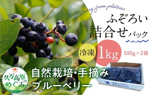 
【先行予約】農園直送 不揃い手摘み 冷凍 ブルーベリー 500g×2袋 計1kg 使い方いろいろ ※離島への配送不可 ※2025年7月上旬～9月下旬頃に順次発送予定
