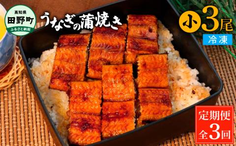 田野町産うなぎの蒲焼き(小) 3尾×3回 定期便 3ヶ月 定期コース 1尾あたり90～120g タレ・山椒付き