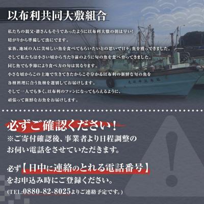 ふるさと納税 土佐清水市 旬の朝獲れ鮮魚詰め合わせ【以布利定置網　漁師直送】【S00818】 |  | 03
