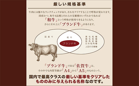 【定期便6回】老舗の 佐賀牛 100% ハンバーグ 奇数月発送 全6回 定期便 _m-3