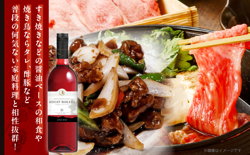 【数量限定】マスカット・ベーリーA 2本セット_T014-054【人気 ギフト 飲料 食品 お酒 お土産 限定品 贈り物 送料無料 プレゼント  ワイン 酒 飲料 アルコール 国産】