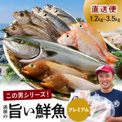 ふるさと納税 浜田市 浜田のプレミアム鮮魚〜この男シリーズ〜