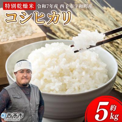 ふるさと納税 西予市 <令和7年産 コシヒカリ 5kg>国産 白米 精米 5キロ 愛媛県産 宇和町産 宇和米