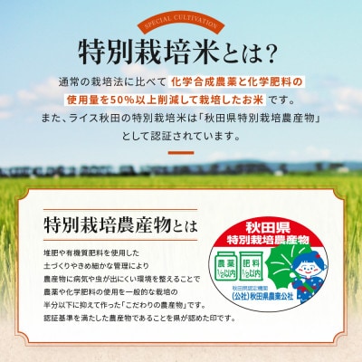 【令和5年産】大潟村産あきたこまち特別栽培米5.5kg (玄米)【配送不可地域：離島・沖縄県】