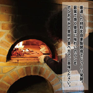 ハード系 パン 4~5個 定期便3回 おまかせセット フランスパン カンパーニュ 国産 ハードパン 薪窯パン 食事パン