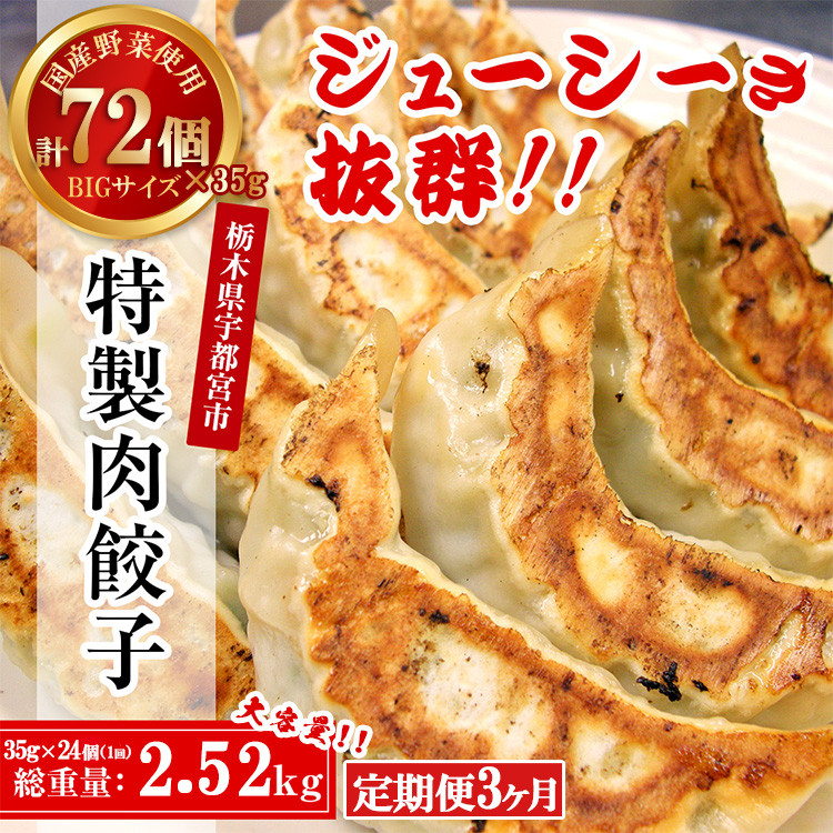 
                  冷凍餃子 【3ヶ月定期便】 テレビで紹介！餃子専門店 宇都宮 悟空 特製肉餃子24個入×3ヶ月 ｜餃子 冷凍 ぎょうざ ギョーザ 大容量 肉たっぷり 肉多め 大きい 人気 名物 行列 国産野菜 国産豚肉 ジューシー スタミナ パリパリ もちもち グルメ おかず おつまみ  栃木県 簡単 小分け 冷凍食品 定期便
                