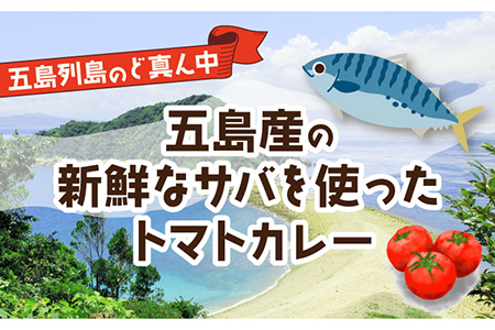 【全3回定期便】漁師のカレー(サバのトマトカレー)5個セット 常温 魚介 イタリアン風 サバ 鯖 五島市/奈留町漁業 [PAT016]