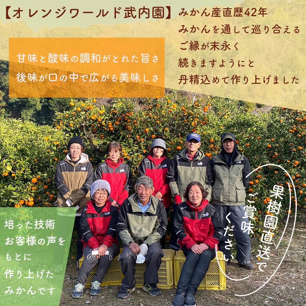 完熟 小粒 有田みかん 3kg 甘味凝縮 和歌山県産 産直45年 武内園 BA03