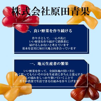ふるさと納税 三股町 宝石らっきょう4種セット(70g×4袋・計280g)【MI120】 |  | 03