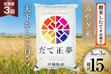 3回 定期便 米 宮城県産 だて正夢 5kg ×3回 総計 15kg [菊武商店 宮城県 気仙沼市 20564853]
