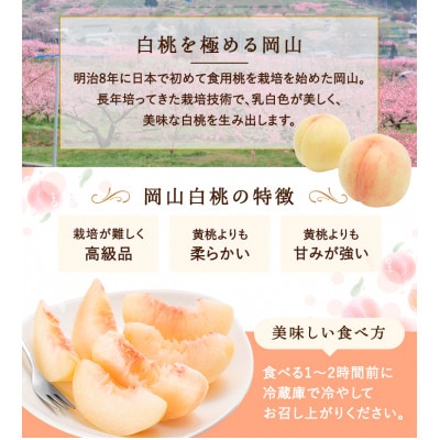 岡山県産　白桃 8玉(2.0kg以上) 等級:ロイヤル 化粧箱入り【配送不可地域：離島・北海道・沖縄県】