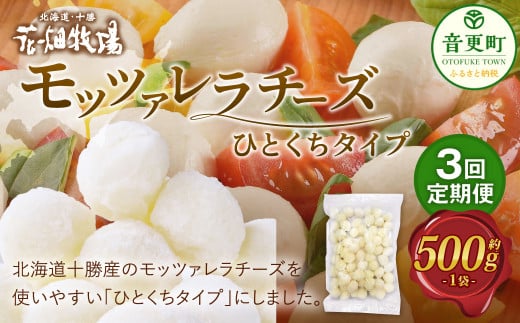 【3回定期便】 花畑牧場 モッツァレラチーズひとくちタイプ 約500g【C85】