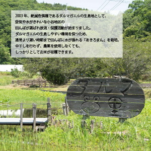 【令和7年産】世羅 ダルマガエル米 玄米 6kg(2kg×3袋) お米 ごはん ご飯 米 世羅産 世羅米 あきろまん A055-05