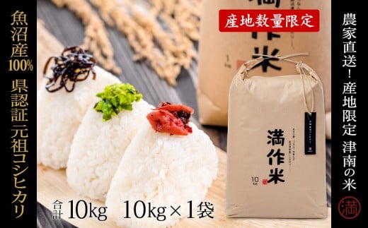 米 10kg 令和7年産 新米 魚沼産 コシヒカリ 県認証米 満作米 | ブランド米 こしひかり お米 おこめ こめ コメ 白米 精米 おすすめ 人気 ギフト プレゼント 新潟県 津南町