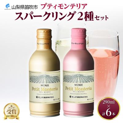 ふるさと納税 笛吹市 プティモンテリア スパークリング 2種飲み比べ 290ml 各3本 計6本 缶ワイン 山梨県 笛吹市