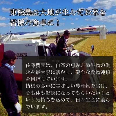 ふるさと納税 東松島市 宮城県産 令和7年産米先行予約 ササニシキ 玄米 30kg JAS認証 デンマーク王室献上米 お米 |  | 03