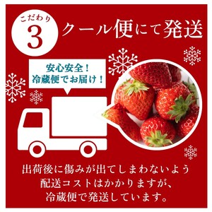 【3～4月発送】 紅ほっぺ 大粒 1800g 18粒~36粒  森木農園 静岡県 牧之原市