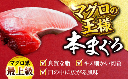 天然 本まぐろ大トロ＆中トロ 各1柵（計約450g）【横須賀商工会議所 おもてなしギフト事務局（本まぐろ直売所 横須賀本店）】[AKAK109]