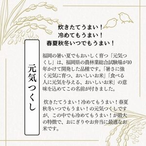 【無洗米】元気つくし 《真空パック》 3kg(1kg×3本) 福岡県産【1525209】