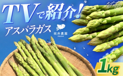 アスパラガス 1kg 3月上旬より発送！＜坂井農園＞那珂川市 季節 限定 おいしい アスパラ 人気 あすぱら アスパラガス 野菜 アスパラ ランキング アスパラガス 特別 アスパラ 健康 最高 アスパラガス ヤサイ レシピ サイズ 豊富 アスパラガス 産地直送 アスパラ 人気 アスパラガス あすぱらがす おすすめ アスパラ 太 細 サイズ 絶品 やさい あすぱら 九州 福岡 [GBP001]