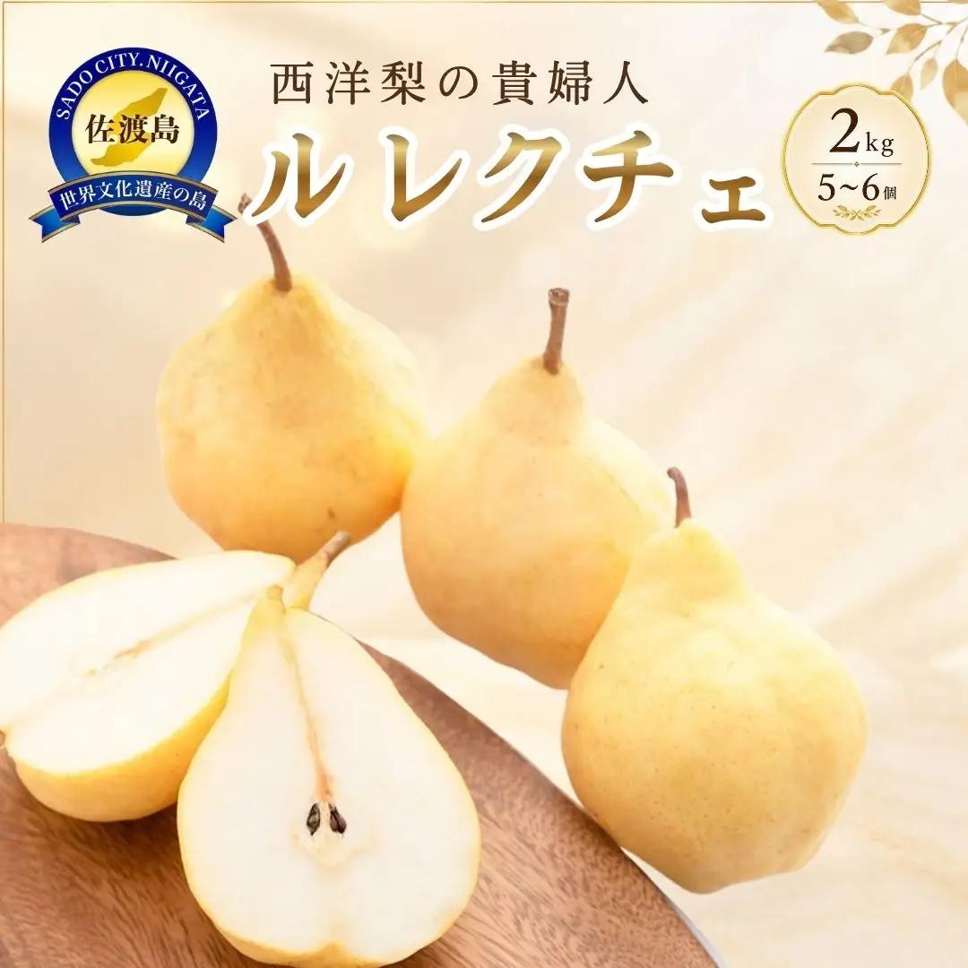 【先行予約】2026年11月下旬より順次発送 西洋梨 ル・レクチェ | 新潟県 佐渡市ルレクチェ