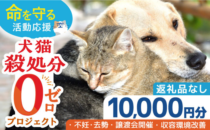 
【お礼の品なし】犬猫殺処分ゼロプロジェクト＜10,000円＞長崎県ふるさと納税[42ZZAE003]長崎 長崎の変 動物 犬 猫 いぬ ねこ イヌ ネコ 保護犬 保護猫 支援 応援 チョイス限定
