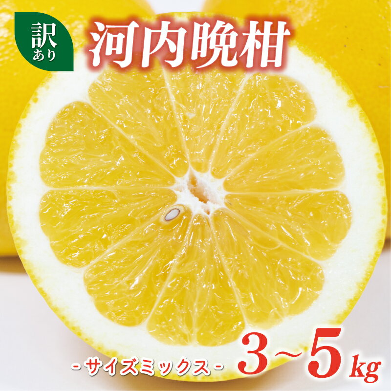【ふるさと納税】 【高評価★4.86】 選べる容量 訳あり 河内晩柑 3kg 5kg 5000円 7000円 サイズミックス みかん かわちばんかん ミカン mikan わけあり 愛南ゴールド あいなん ゴールド 国産 期間限定 数量限定 小玉 含む 柑橘 蜜柑 規格外 マルハラファーム 愛南町 愛媛県