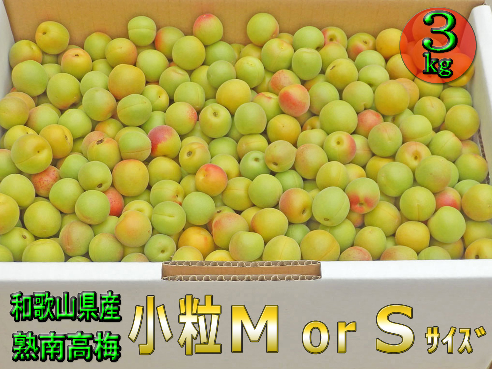 ［梅干・梅酒用］小粒（SまたはM−3Kg）熟南高梅＜2026年6月下旬〜7月中旬発送予定＞フルーツ 果物 くだもの 食品 人気 おすすめ 送料無料［ART20］