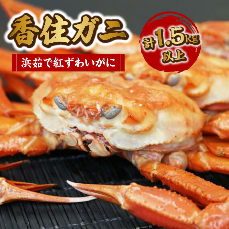 【ふるさと納税】香住ガニ 浜茹で紅ずわいがに 500g×3匹【1.5kg以上】新鮮なうちに茹でてチルドでお届け！ 紅ズワイガニ 香住ガニ 国産 海鮮 大人気返礼品 日本海 かに 紅ズワイ チルド便 マルヨダイレクト 17-34 ご入金確認後、カニの水揚げ次第順次発送　送料無料
