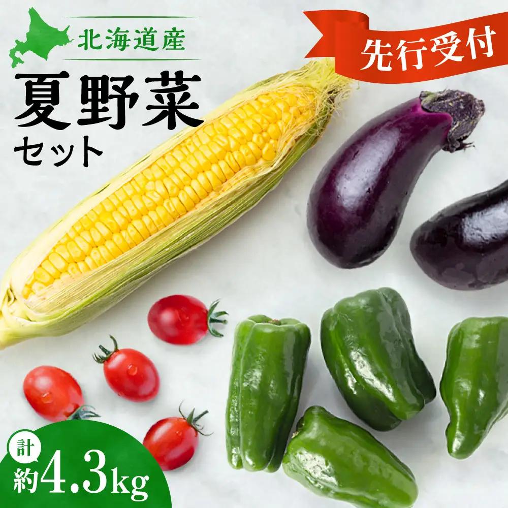 【先行受付】夏野菜セット | トウモロコシ ミニトマト ピーマン ナス 北海道 札幌市