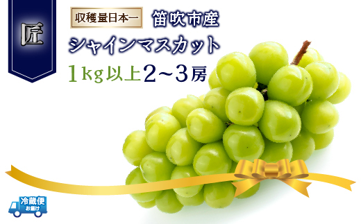 ＜25年発送先行予約＞笛吹市産シャインマスカット（匠）2～3房 1kg以上 210-002 | シャインマスカット 甘い シャインマスカット 葡萄 シャインマスカット フルーツシャインマスカット 甘い シャインマスカット 葡萄 シャインマスカット フルーツシャインマスカット 甘い シャインマスカット 葡萄 シャインマスカット フルーツシャインマスカット 甘い シャインマスカット 葡萄 シャインマスカット フルーツ|