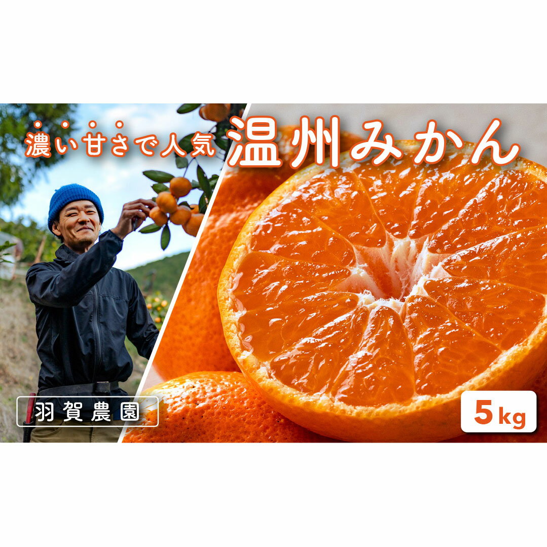 【ふるさと納税】 羽賀農園 温州みかん 5kg みかん ミカン 蜜柑 柑橘 果物 フルーツ 果実 柑橘類 甘い 酸味 ビタミンC 和歌山 特産品 名産品 産地直送 農園直送 贈答用 贈り物 ギフト 秋 冬 旬 季節 宿毛市 高知県 10000円