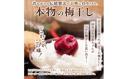 【 梅干し 小分け 】 お土産にピッタリ♪ 梅干し 無添加 南高梅 小分けタイプ 昔ながらのすっぱい しそ漬け梅干し 500g (100g×5P) 梅干し 梅干 梅 うめ ウメ しそ梅干し しそ梅 人