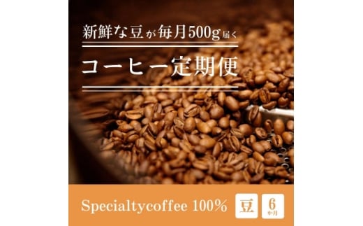 ＜毎月定期便＞毎月違うコーヒー豆をお届け スペシャルティコーヒー 豆 500g全6回【4076151】
