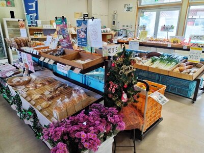 えごまのまんまドレッシング(ゆず、レモン、梅、味噌) 4種×1本