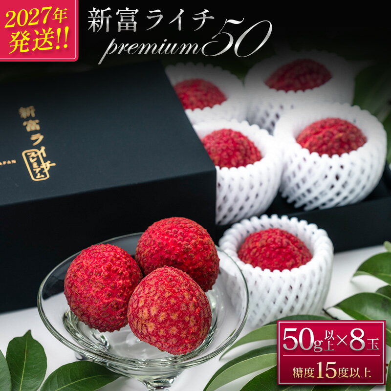 【ふるさと納税】［先行受付］希少！国産＜新富ライチpremium50＞50g以上×8玉 国産 ブランド フルーツ 果物 贈答品 2027年出荷 予約返礼品