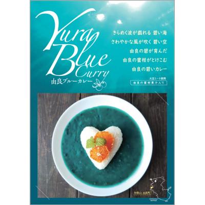 ふるさと納税 由良町 由良の蜜柑がとけこんだ　YuraBlueCurry (由良ブルーカレー) 5食セット |  | 01