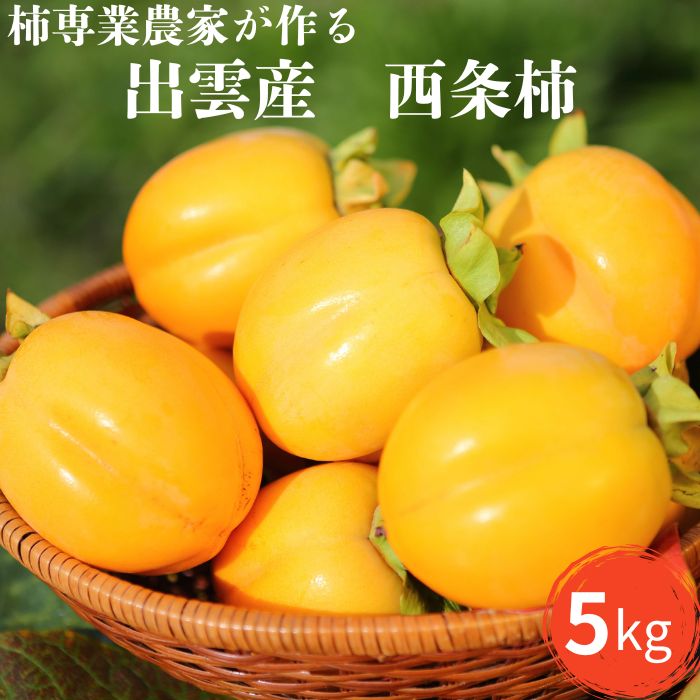 【ふるさと納税】【柿専業の農家が作る】出雲産西条柿　5kg | かき 果物 くだもの ギフト 詰め合わせ フルーツ お取り寄せ 先行 予約 期間限定 島根県 出雲市