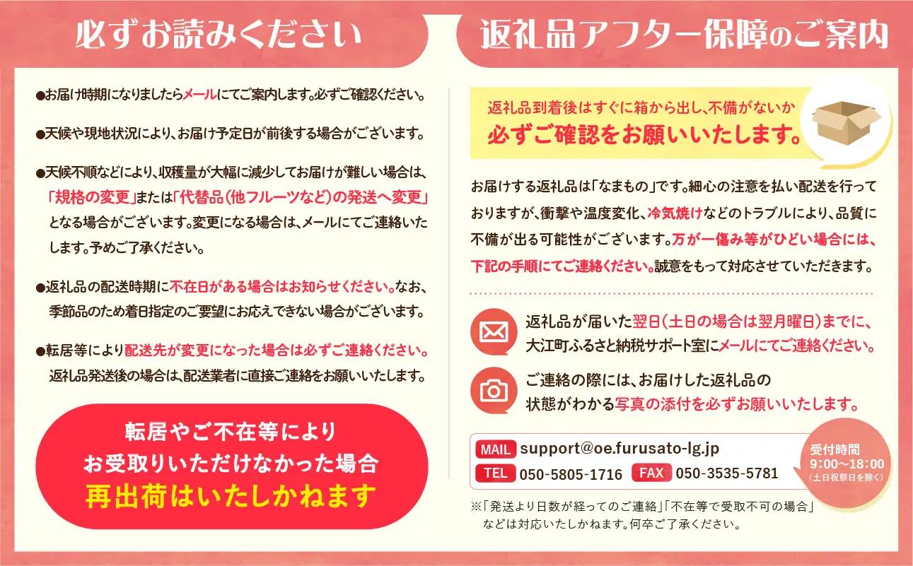 【発送月固定】山形旬彩！こだわりフルーツ定期便全３回Ｃ 063-T03