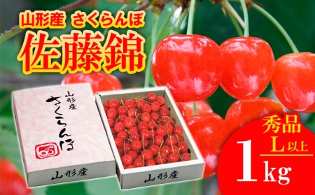 さくらんぼ 佐藤錦 Lサイズ以上 1kg 1箱 【令和8年産先行予約】FS25-563