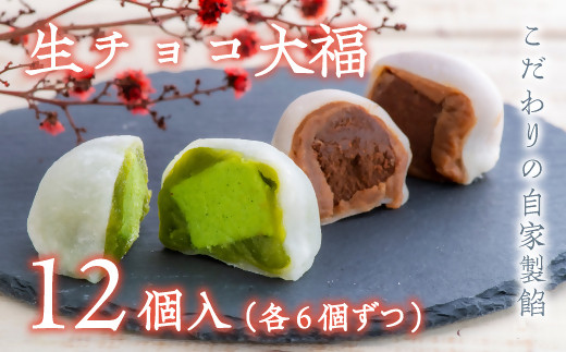 
生チョコ大福、抹茶生チョコ大福詰合せ（12個入）
