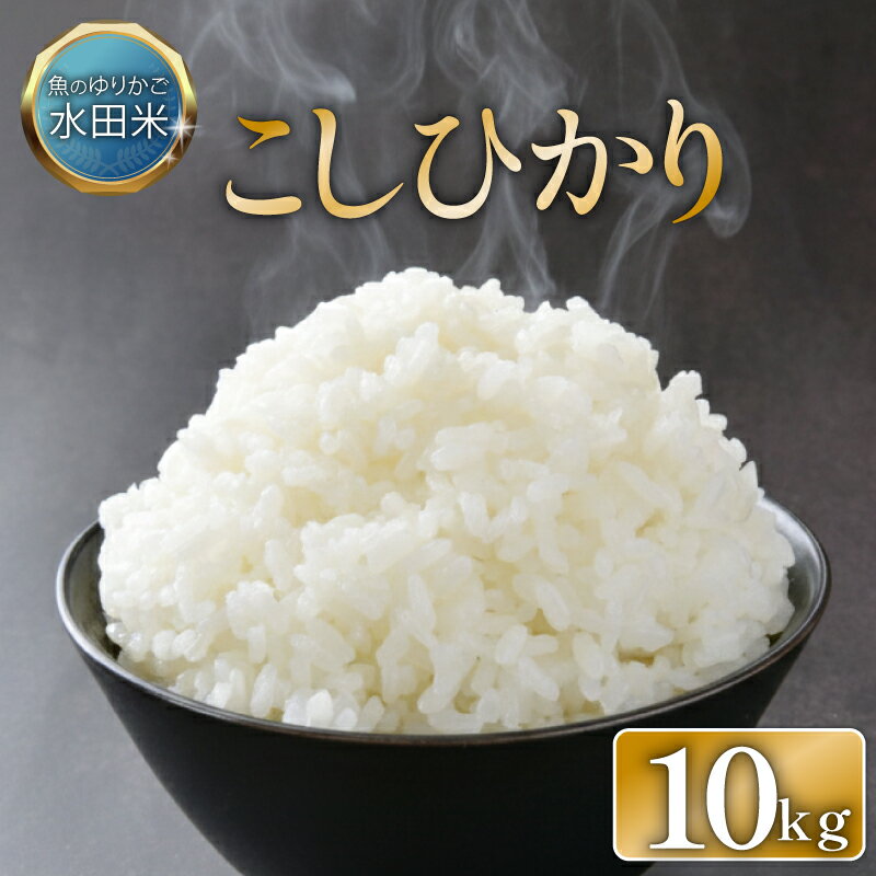 【ふるさと納税】 数量限定 令和7年産 環境こだわり栽培 コシヒカリ 10kg 白米 米 コメ お米 ご飯 ごはん 10 5kg 2袋 令和7年 7年 順次発送 滋賀 彦根
