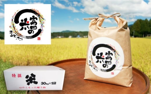 【12月発送】【R7年新米】恵那岩村とみだコシヒカリ玄米30kg / こめ コメ 米 おコメ お米 おこめ 玄米 げんまい コシヒカリ こしひかり 新米 しんまい 30kg 岐阜県産 恵那市産 おすすめ 人気 産地直送 送料無料 ギフト 贈答 / 恵那市 / 山丸屋商店 [AUDA002]