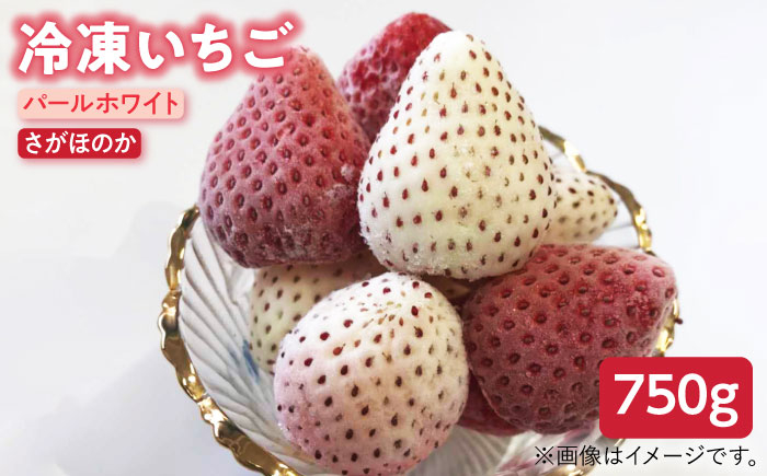 
            【先行予約】【贅沢2種食べ比べ】白石産冷凍いちご（さがほのか・パールホワイト）750g 【ハヤシダファーム】九州 佐賀県 白石町 [IAQ003]
          