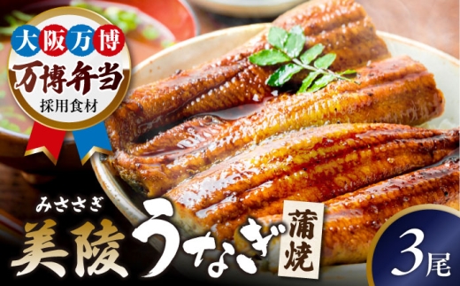 【お中元対象】鰻 鰻の蒲焼 3尾 / 美陵鰻 鰻 うなぎ ウナギ 蒲焼 蒲焼き かば焼き かばやき 白焼き 白焼 しろやき しらやき 特大 肉厚 うな重 うな丼 ひつまぶし 惣菜 おかず タレ 山椒 国産 スタミナ 土用 丑の日 ギフト 美陵鰻 関西風地焼き 高級 冷凍 白焼き 国産うなぎ ギフト おすすめ 人気 / 大阪府藤井寺市/Giverichホールディングス株式会社 [BLAM006]