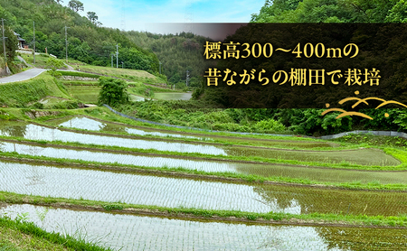 棚田米 品種お任せ 無洗米 岡山県産 棚田米【 精米 4kg(2kg×2袋)】【令和7年産】