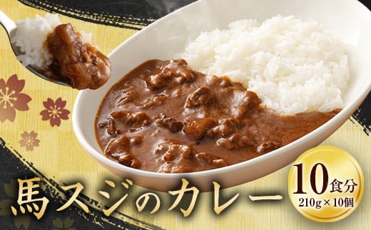 
            馬スジのカレー 10食 セット 合計2.1kg カレー レトルト
          